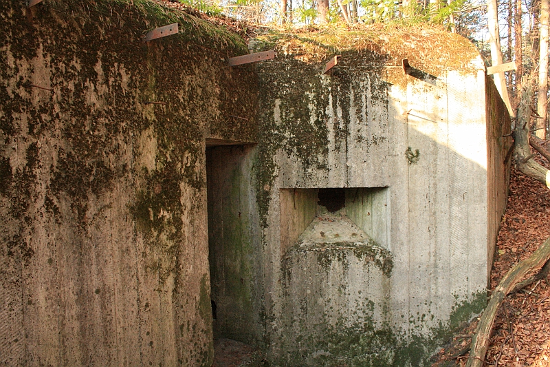 Rostoczek 11.2008 283
